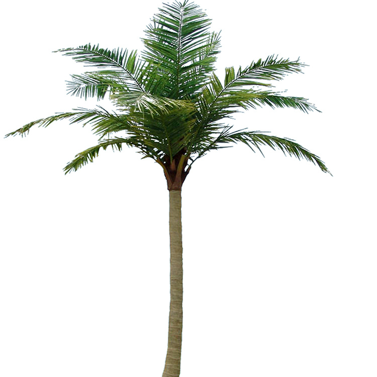 单个仿真椰子树